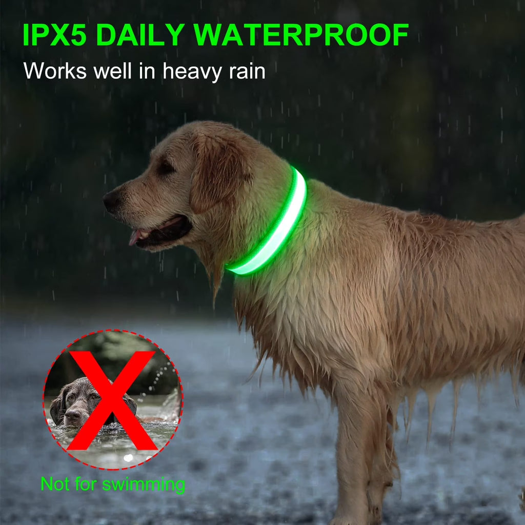 LED Dog Collar - USB Rechargeable Safety Collar for Night Walks
