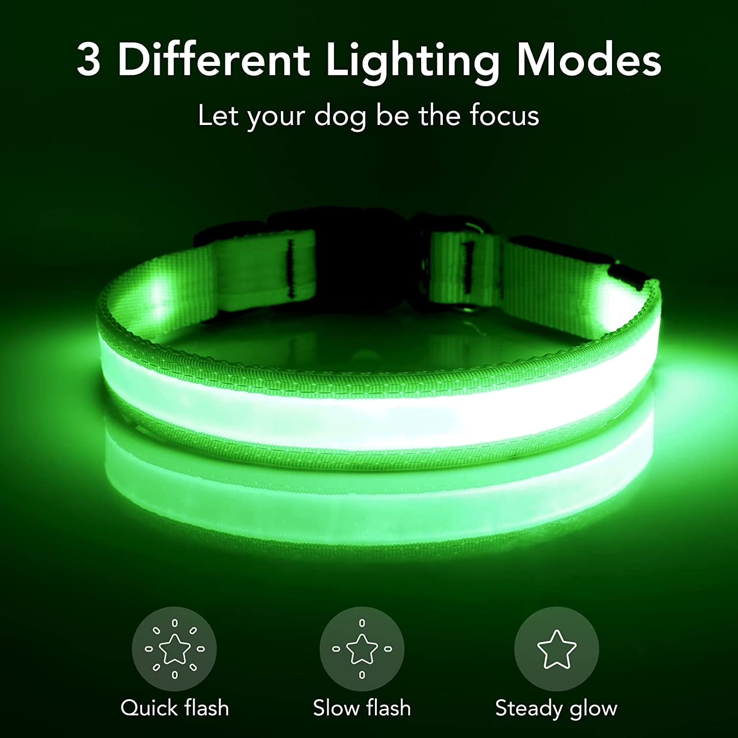 LED Dog Collar - USB Rechargeable Safety Collar for Night Walks