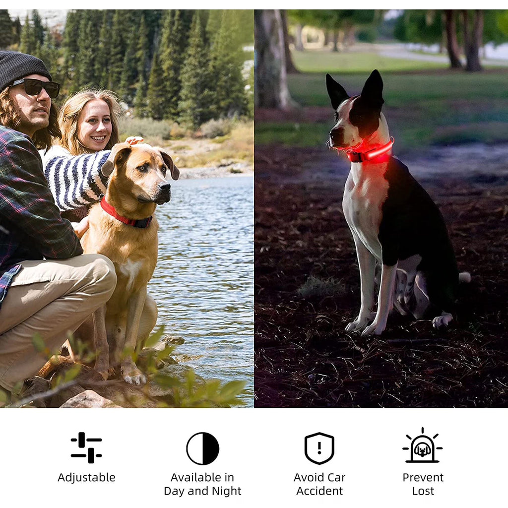 LED Dog Collar - USB Rechargeable Safety Collar for Night Walks