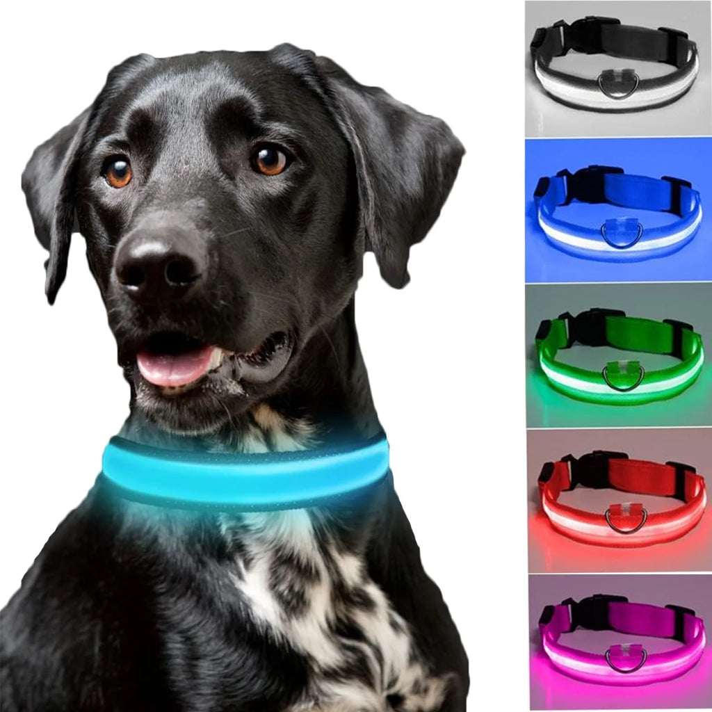 LED Dog Collar - USB Rechargeable Safety Collar for Night Walks